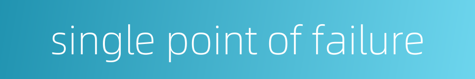 single point of failure的同义词