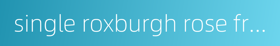 single roxburgh rose fruit的同义词