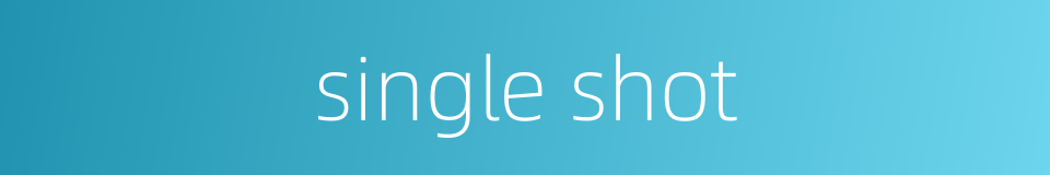 single shot的同义词