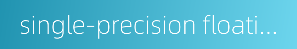 single-precision floating point的同义词