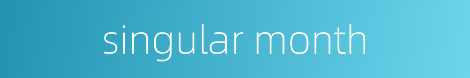 singular month的同义词