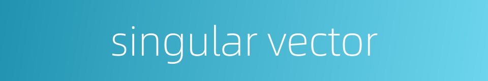 singular vector的同义词