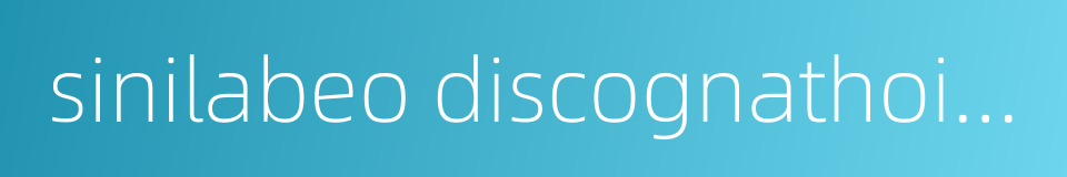 sinilabeo discognathoides的同义词