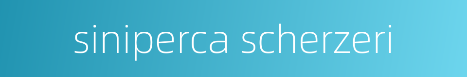 siniperca scherzeri的同义词