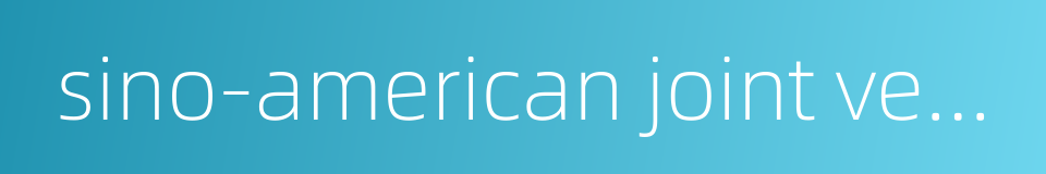 sino-american joint venture的同义词