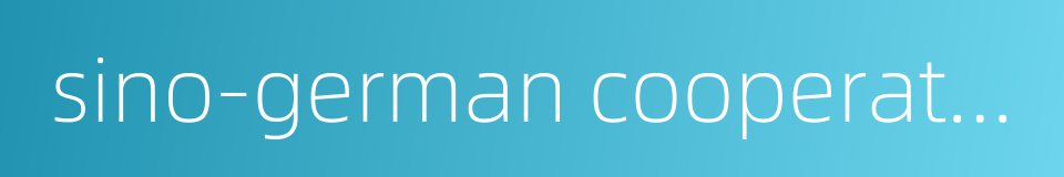 sino-german cooperation的同义词
