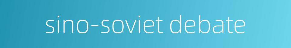 sino-soviet debate的同义词