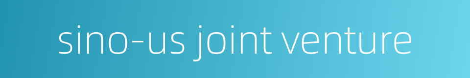 sino-us joint venture的同义词