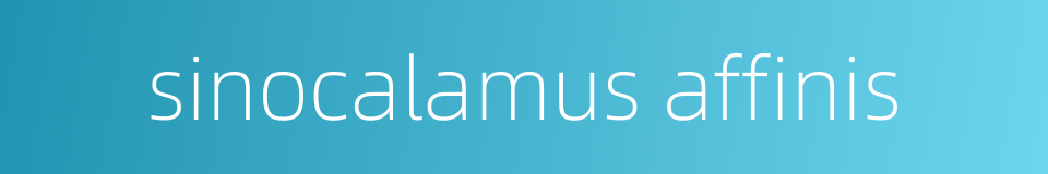 sinocalamus affinis的同义词