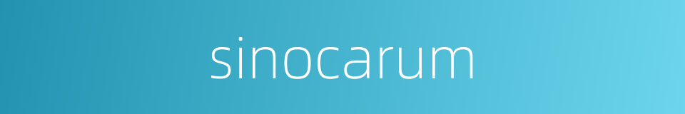 sinocarum的同义词