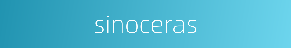 sinoceras的同义词