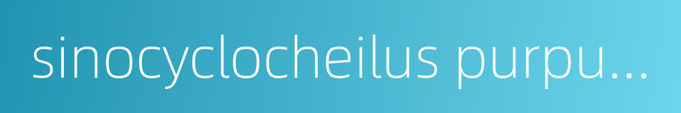 sinocyclocheilus purpureus的同义词