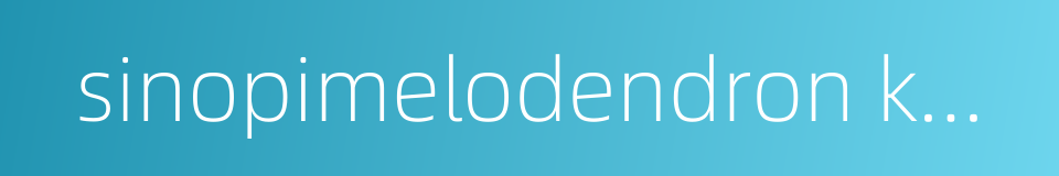 sinopimelodendron kwangsiense的同义词