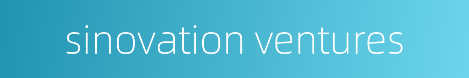 sinovation ventures的同义词
