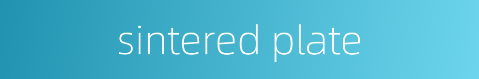 sintered plate的同义词