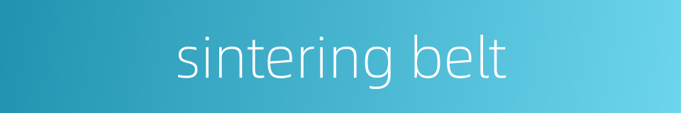 sintering belt的同义词