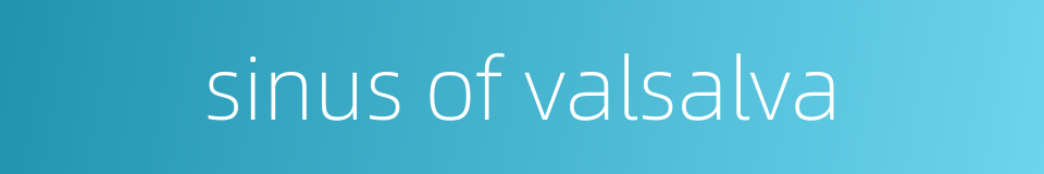 sinus of valsalva的同义词