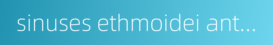 sinuses ethmoidei anteriores的同义词
