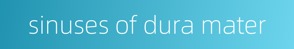 sinuses of dura mater的同义词