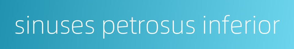 sinuses petrosus inferior的同义词
