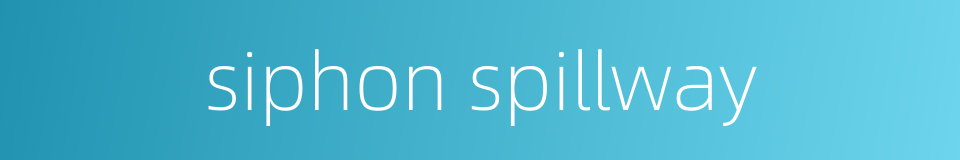 siphon spillway的同义词