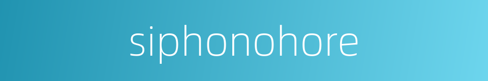 siphonohore的同义词
