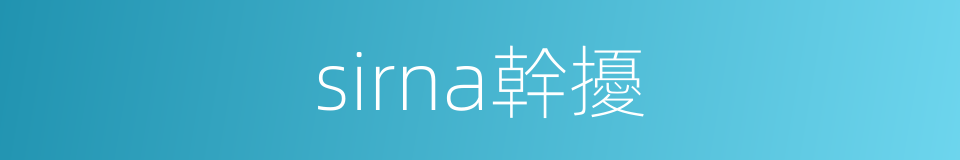 sirna幹擾的同義詞