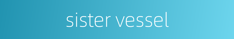 sister vessel的同义词