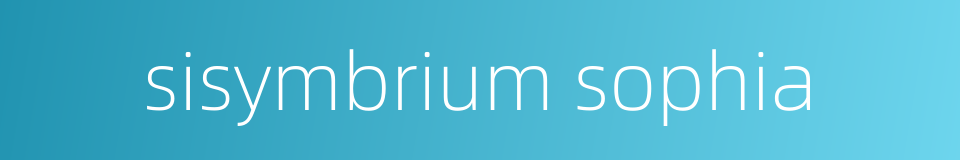 sisymbrium sophia的同义词