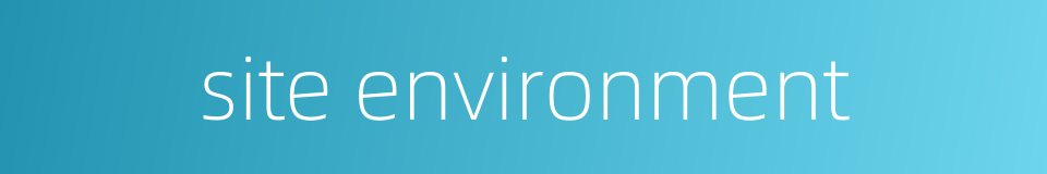 site environment的同义词