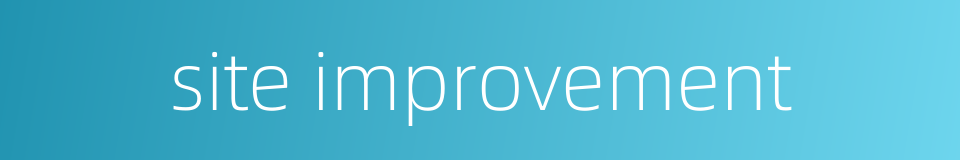site improvement的同义词