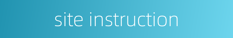 site instruction的同义词