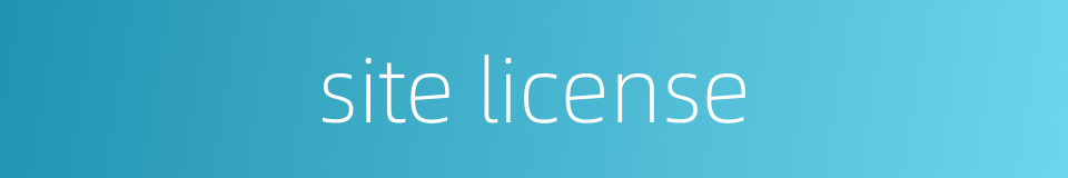 site license的同义词