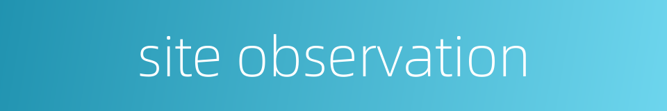 site observation的同义词