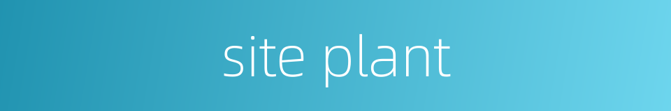 site plant的同义词