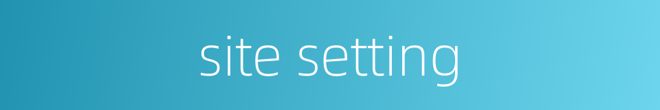 site setting的同义词