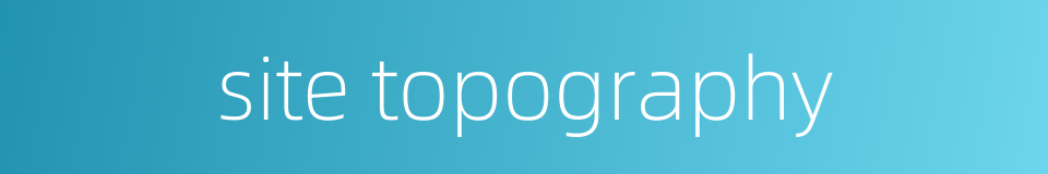 site topography的同义词