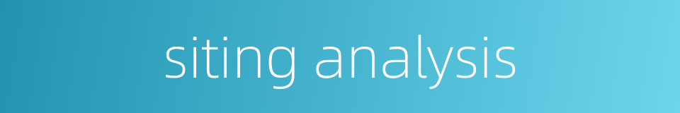 siting analysis的同义词