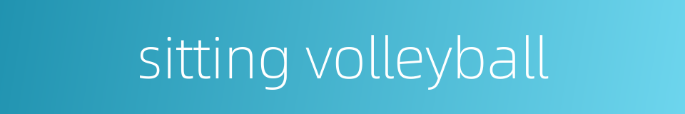 sitting volleyball的同义词