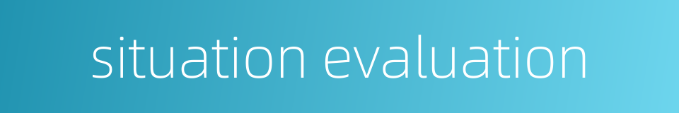 situation evaluation的同义词