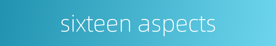 sixteen aspects的同义词