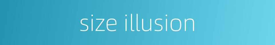 size illusion的同义词