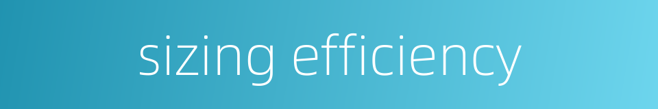 sizing efficiency的同义词