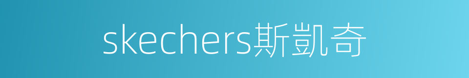 skechers斯凱奇的同義詞