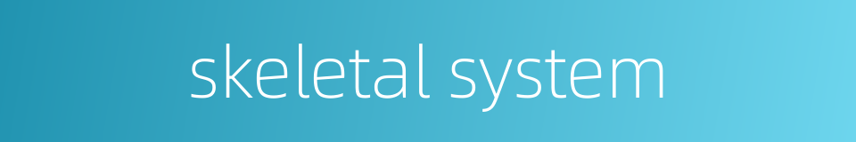 skeletal system的同义词