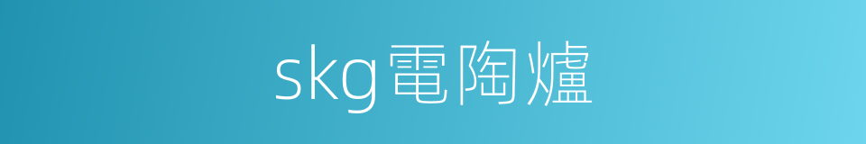 skg電陶爐的同義詞