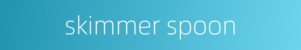 skimmer spoon的同义词