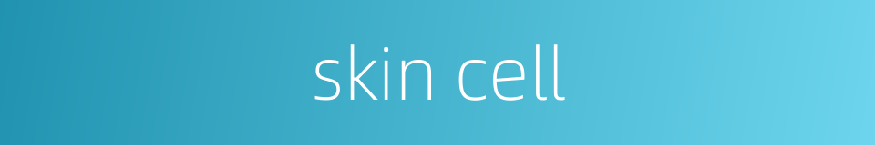 skin cell的同义词