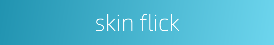 skin flick的同义词