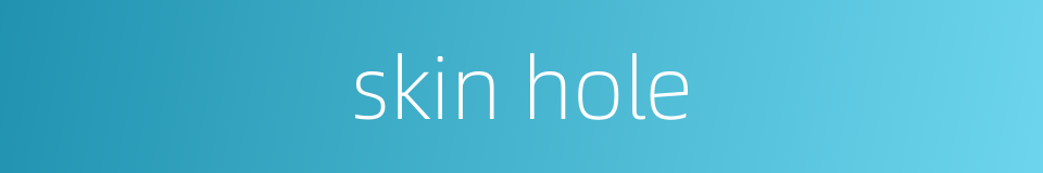 skin hole的同义词
